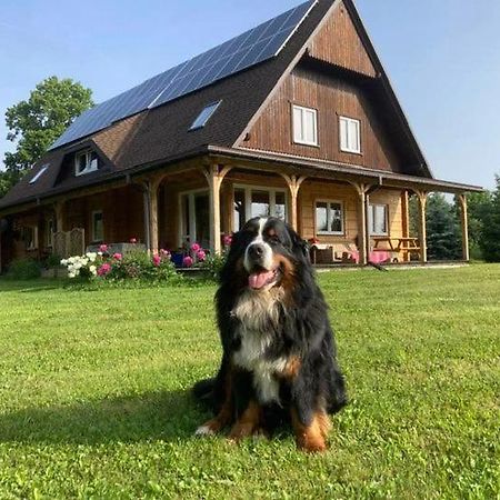 Gutkowa Koliba Villa Jasliska Dış mekan fotoğraf