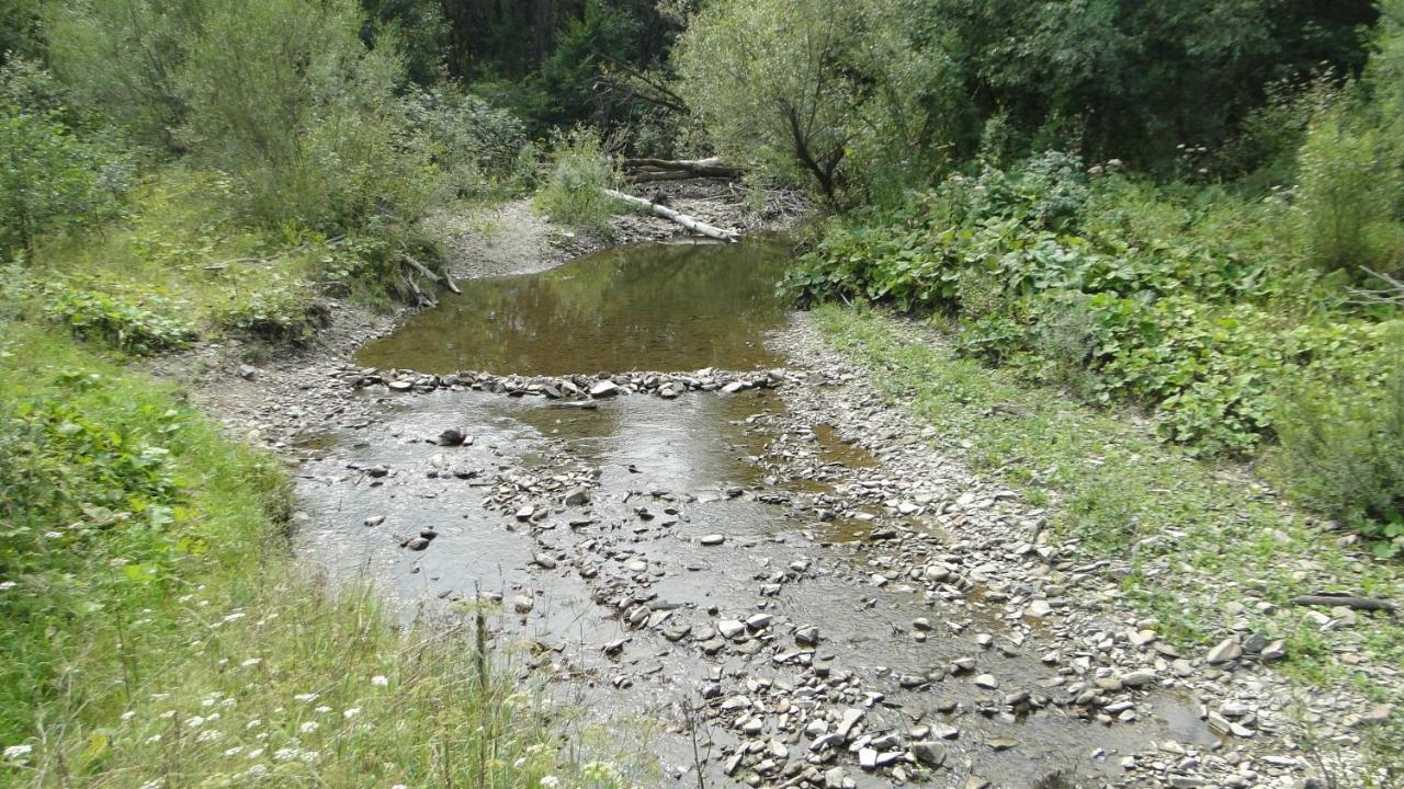 Gutkowa Koliba Villa Jasliska Dış mekan fotoğraf